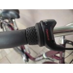 градски алуминиев велосипед SOLHAGA 28 цола SHIMANO NEXUS градски алуминиев велосипед SOLHAGA 28 цола SHIMANO NEXUS